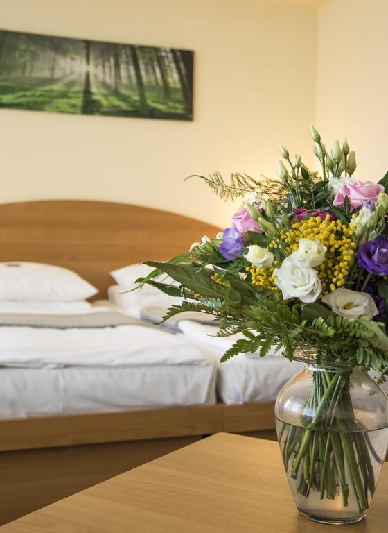 Hotel Astral'inn Hotel&restaurant 3*